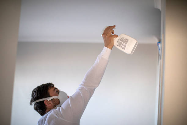 Best Post-Remediation Services in Maysville, GA